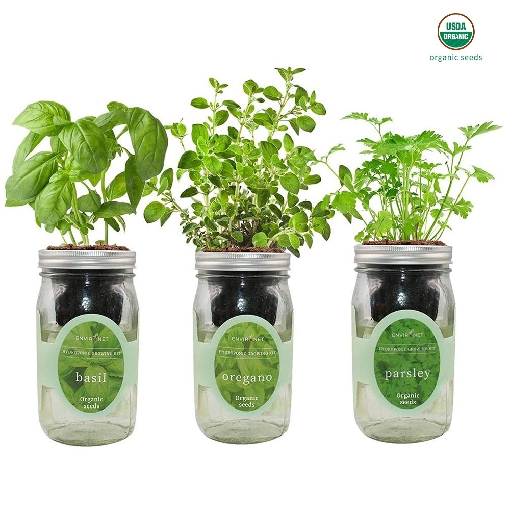 Herb Garden Trio Mason Jar Hydroponic Kit Set with Organic Seeds