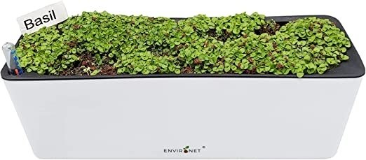 Basil Microgreens Growing Kit Self Watering House Plant and