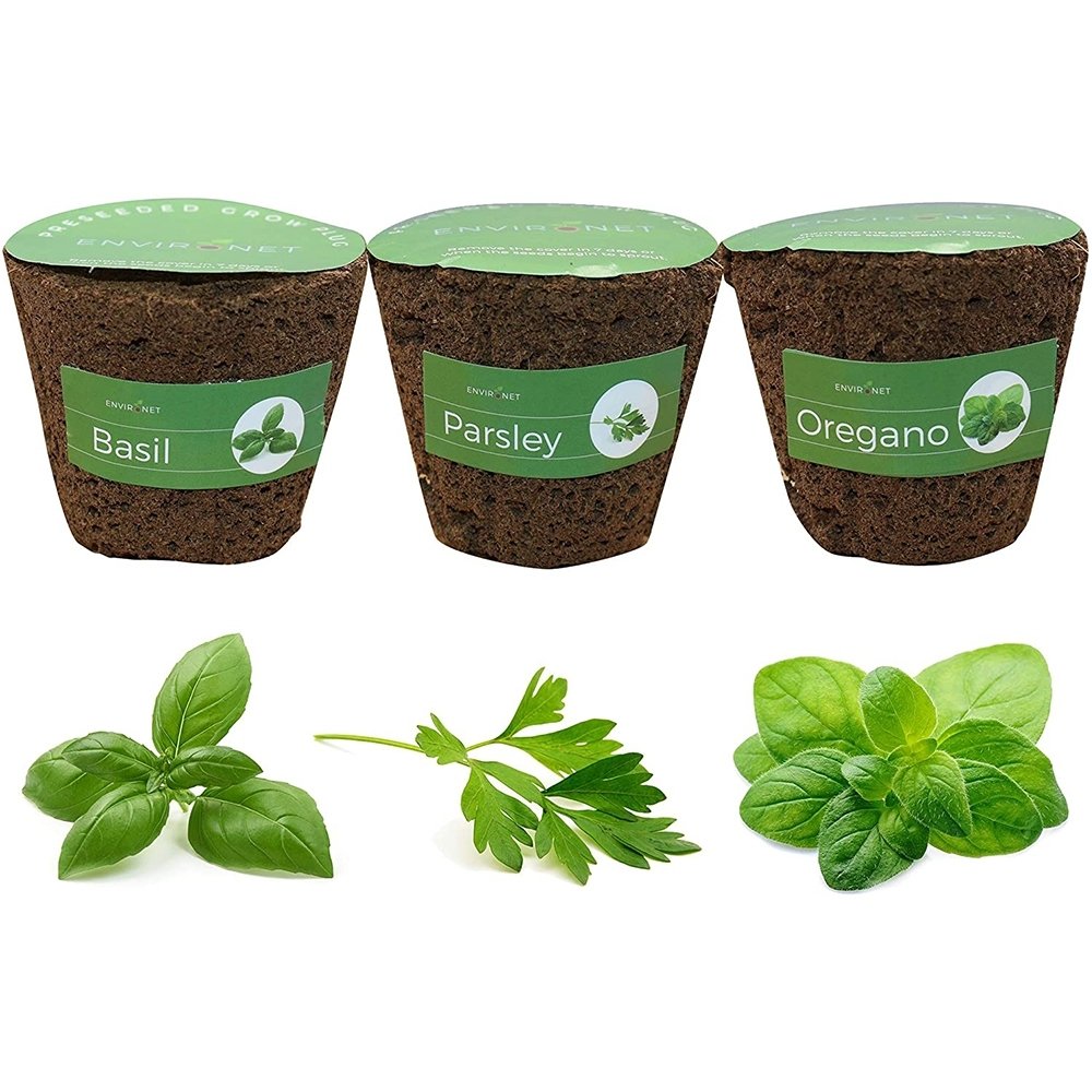 3 Preseeded Hydroponic Plugs Basil Parsley Oregano House