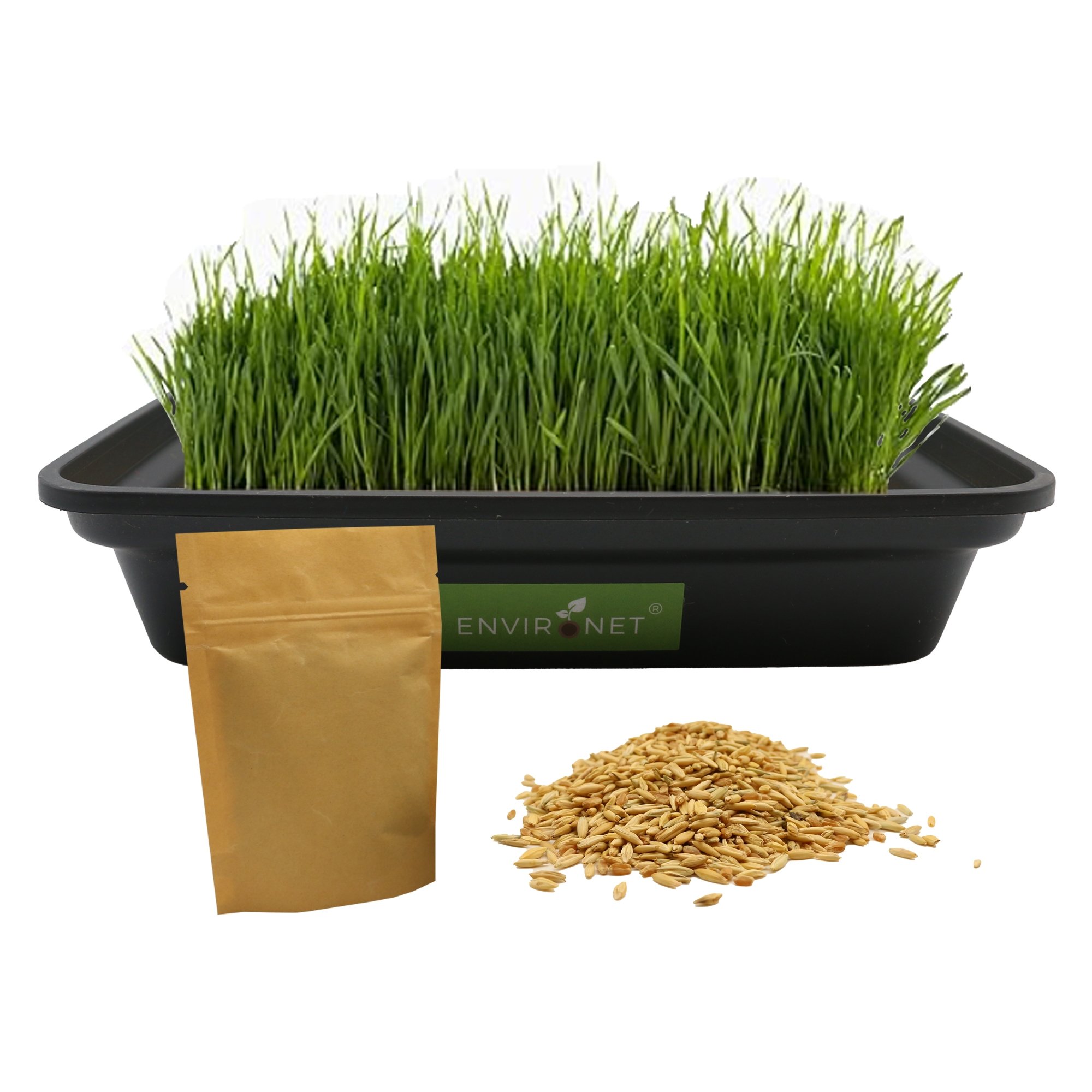 Hydroponic Cat Grass Seeds Mix with Black Low-Top Planter