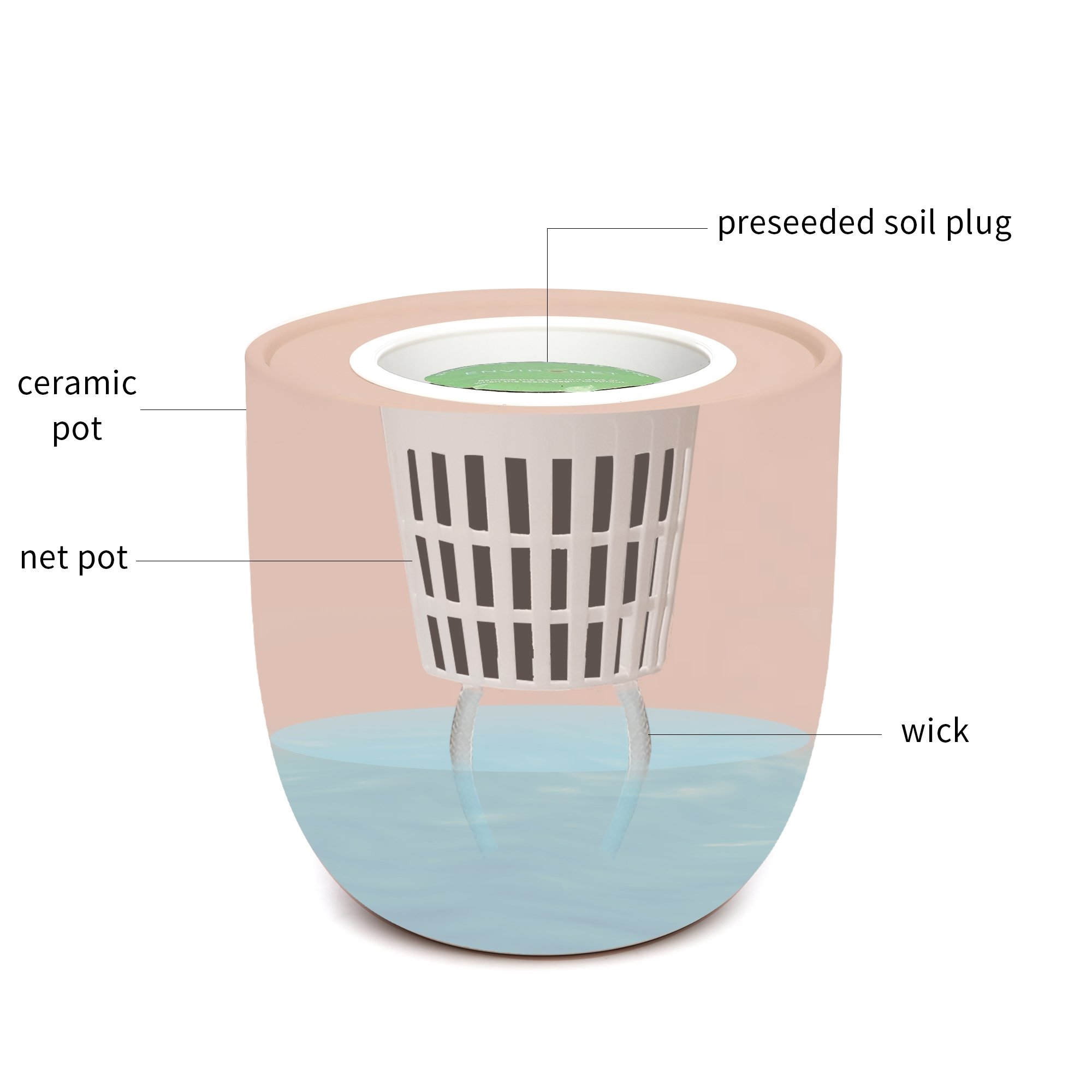 Basil Pink Ceramic Pot Hydroponic Growing Kit with Organic Seeds