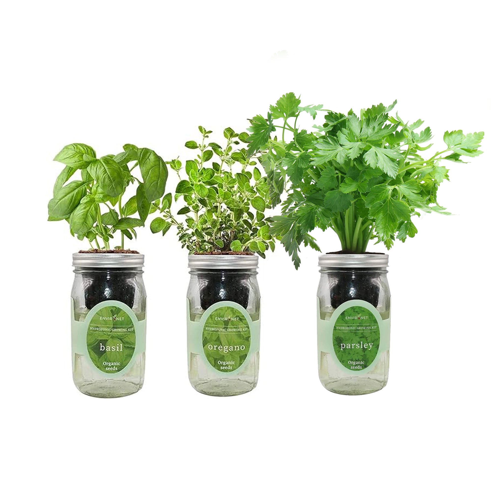 Herb Garden Trio - Mason Jar Hydroponic Kit Set with Organic Seeds(Basil, Oregano and Parsley)