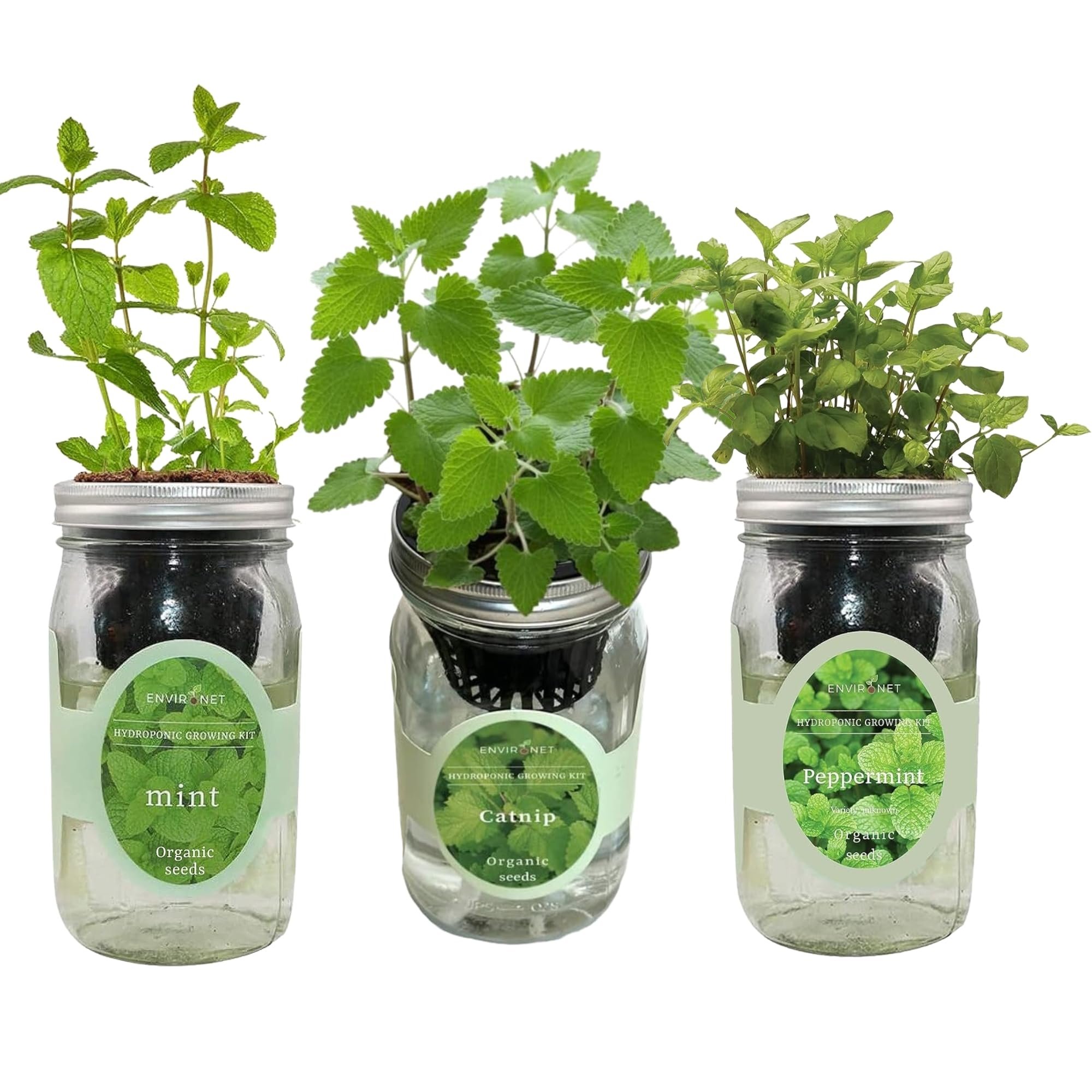 Hydroponic Herb Growing Kit Set (Mint, Peppermint, Catnip) | Hydroponic ...