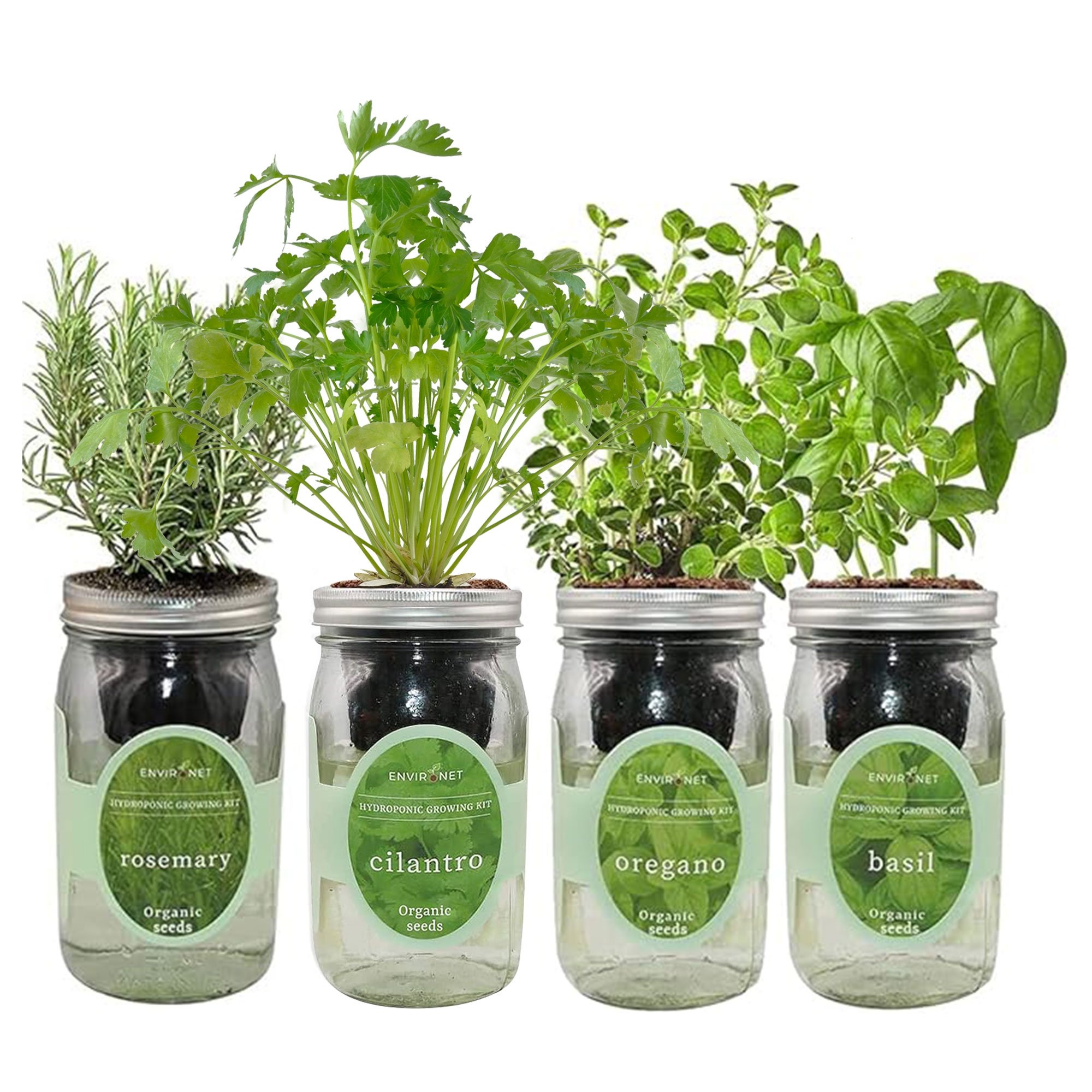 Mediterranean Herb Mix with Organic Seeds - Rosemary, Cilantro, Oregano and Basil