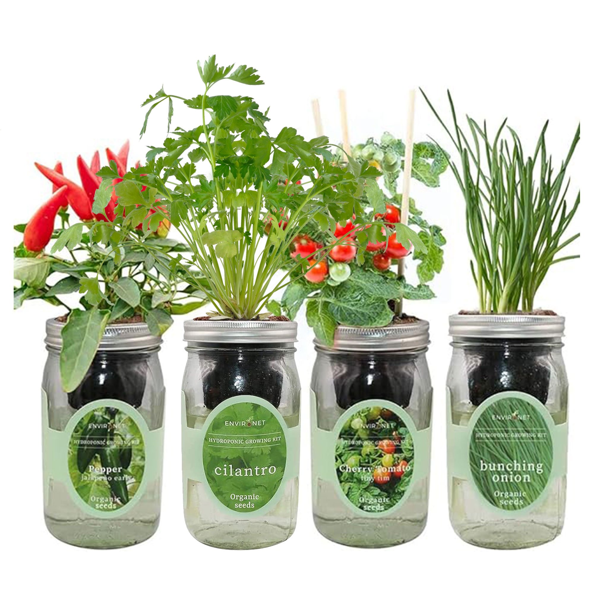 Zesty Salsa Garden Bundle with Organic Seeds: Jalapeno Pepper, Cilantro, Tiny Tim Cherry Tomato, and Bunching Onion