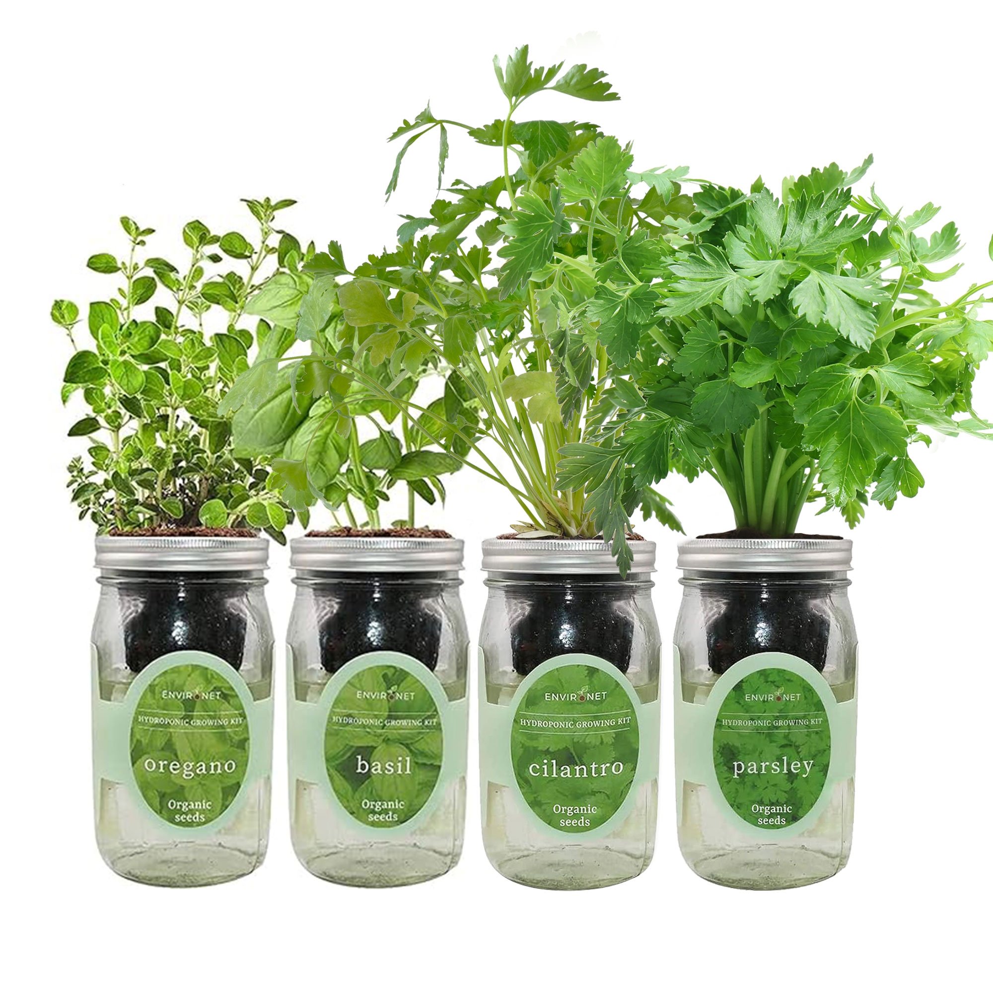 Hydroponic Herb Growing Garden Bundle with Organic Seeds- Cilantro,Basil,Parsley, Oregano