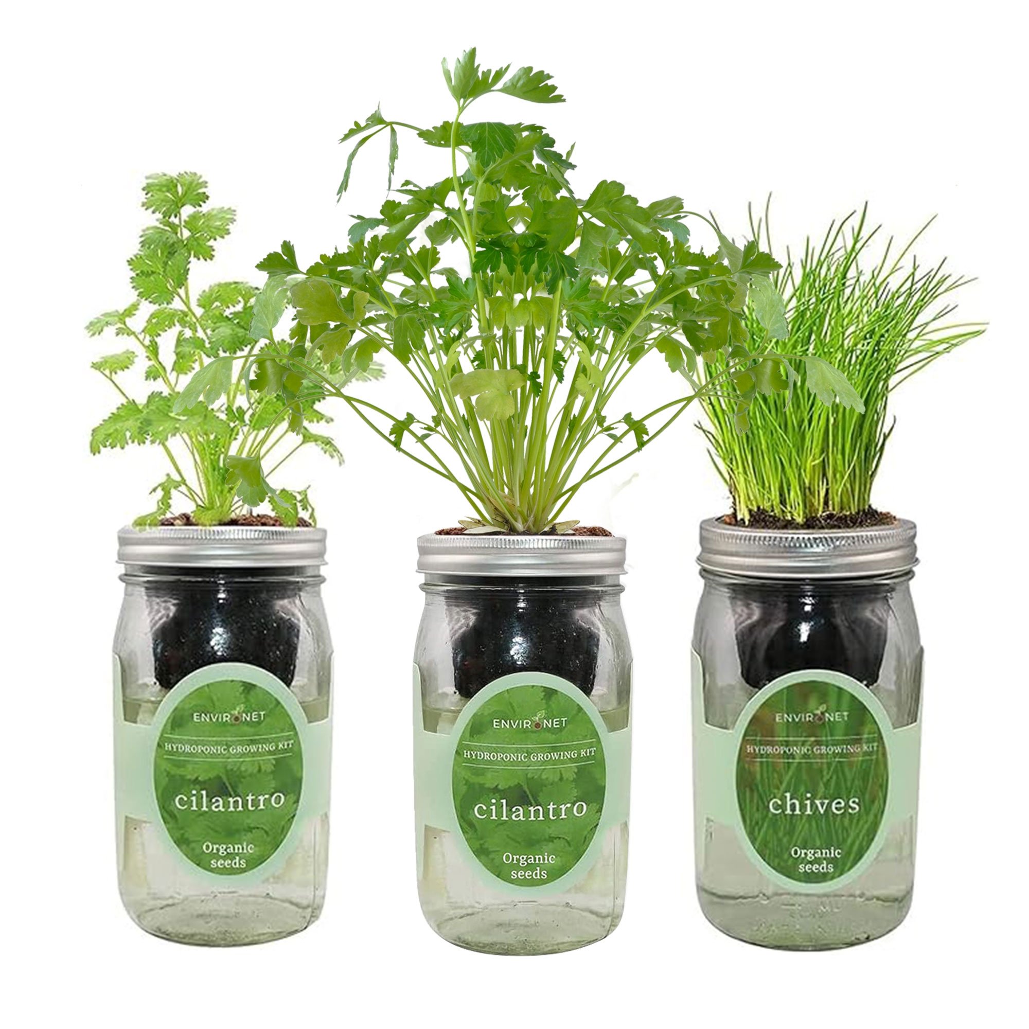 Hydroponic Herb Growing Kit Set with Organic Seeds - Cilantro, Mint, Chives